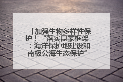 加强生物多样性保护！“落实昆蒙框架：海洋保护地建设和南极公海生态保护”主题论坛将举办